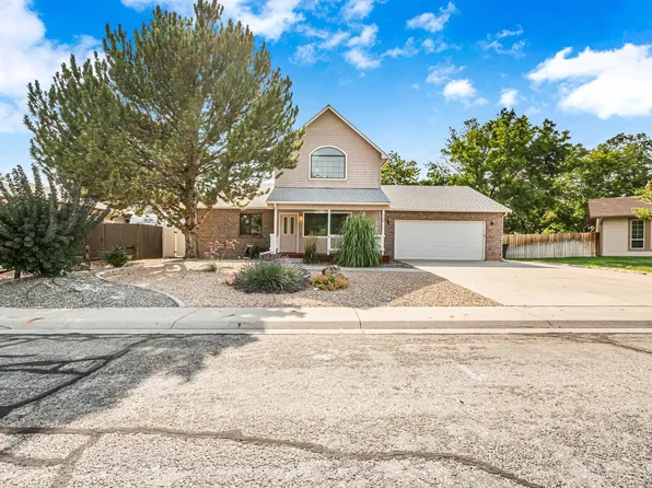 730 Pinyon Ct, Fruita, CO 81521