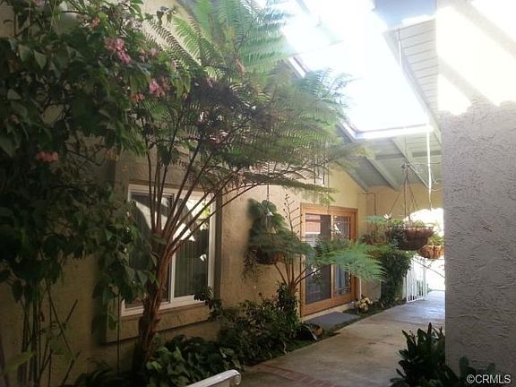 3rd image of 126 N Mangrove Ave