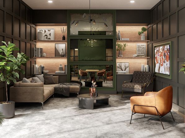 austin-texas-447645509 picture