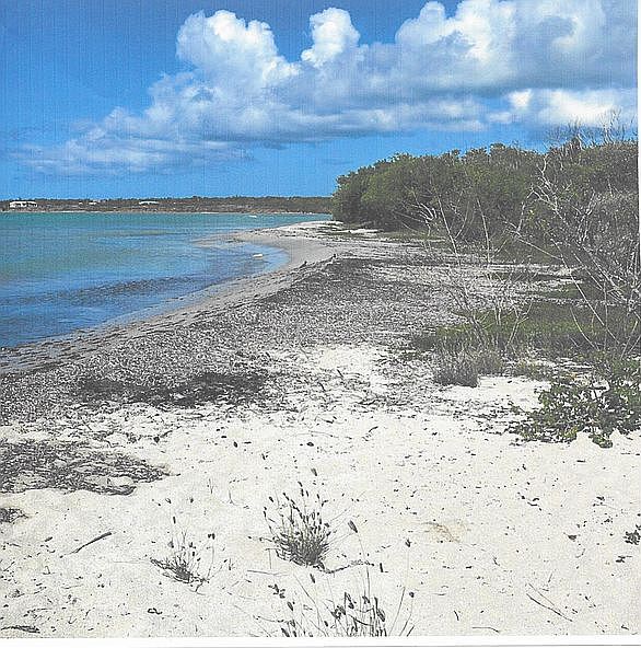 Invest in the USA V.I.