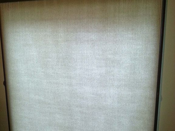5th image of 5909 111th Street Ct E APT 23