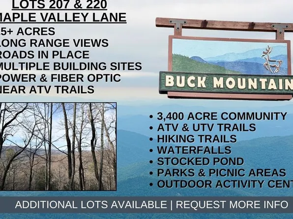 Lots 207 & 220 Maple Valley Ln, Purlear, NC 28665