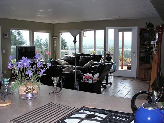 Kitchen to great room