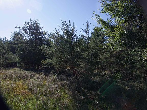 3rd image of 5 E Higgins Lake Dr #60