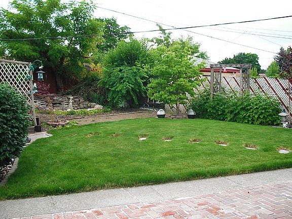 Backyard 1
