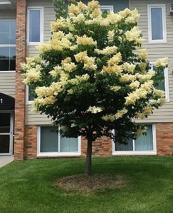 2nd image of 3925 Valley View Dr N APT 109