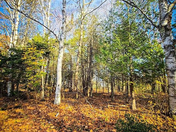 5th image of Woodland Hts