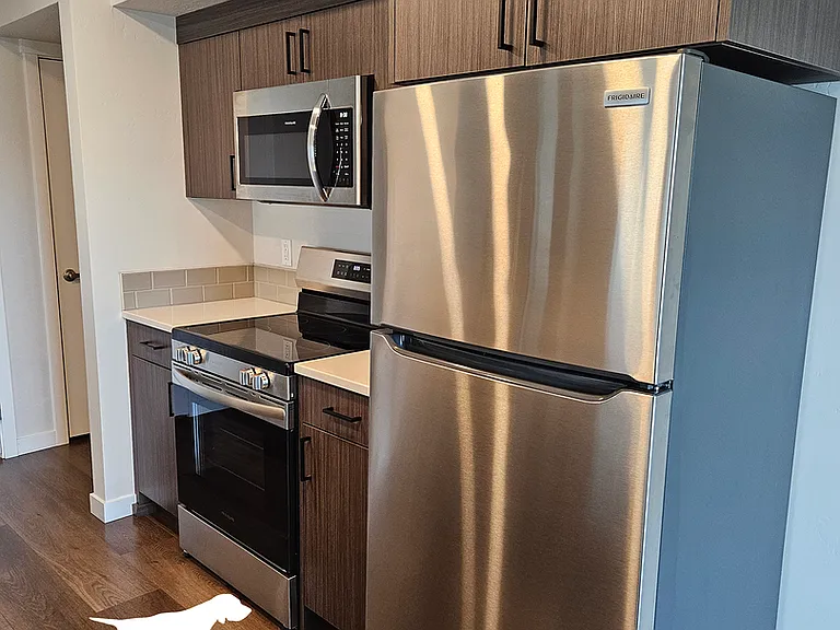 832 E Wandering Ln — Photo 6