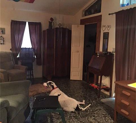 5th image of 10717 Royal York Dr