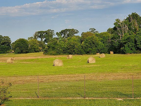 Hay field