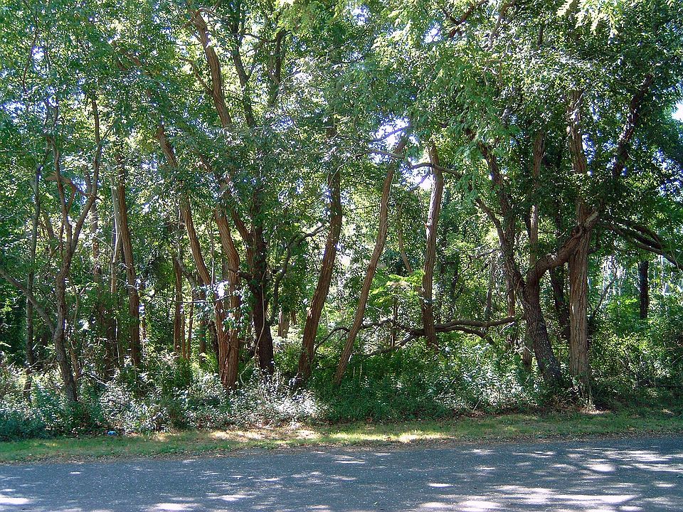 2nd image of 15 Shelterlands Path