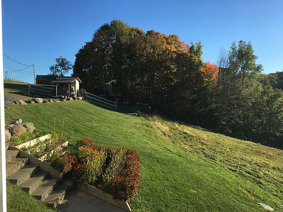 view from the patio (left)