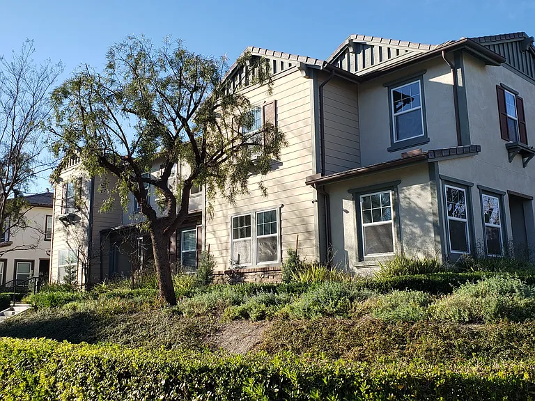 Eucalyptus Ave — Photo 23