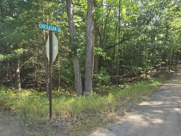 Chickasaw St, Roscommon, MI 48653