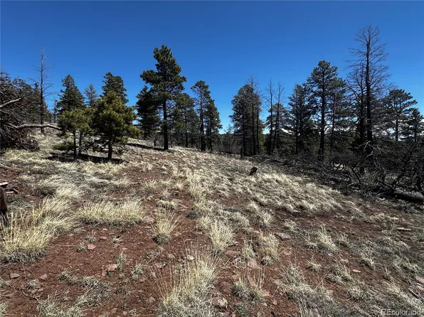 342 Brophy Drive LOT 342, Fort Garland, CO 81133