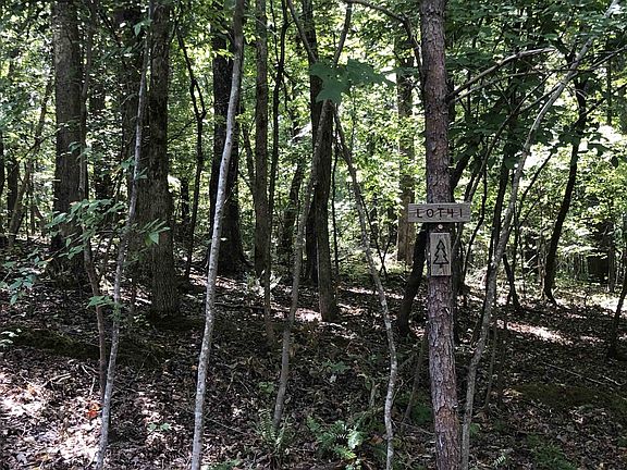 3rd image of 41 Oak Knob Ct Lot 41