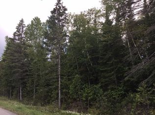 Bell Bay Rd, Presque Isle, MI 49777