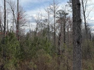 0 County Road 295, Smiths Station, AL 36877