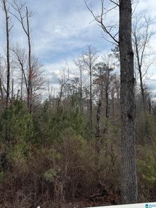 0 County Road 295, Smiths Station, AL, 36877