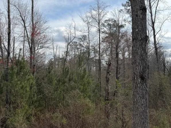 0 County Road 295, Smiths Station, AL 36877