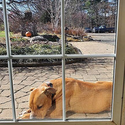 Mud room/office Western view