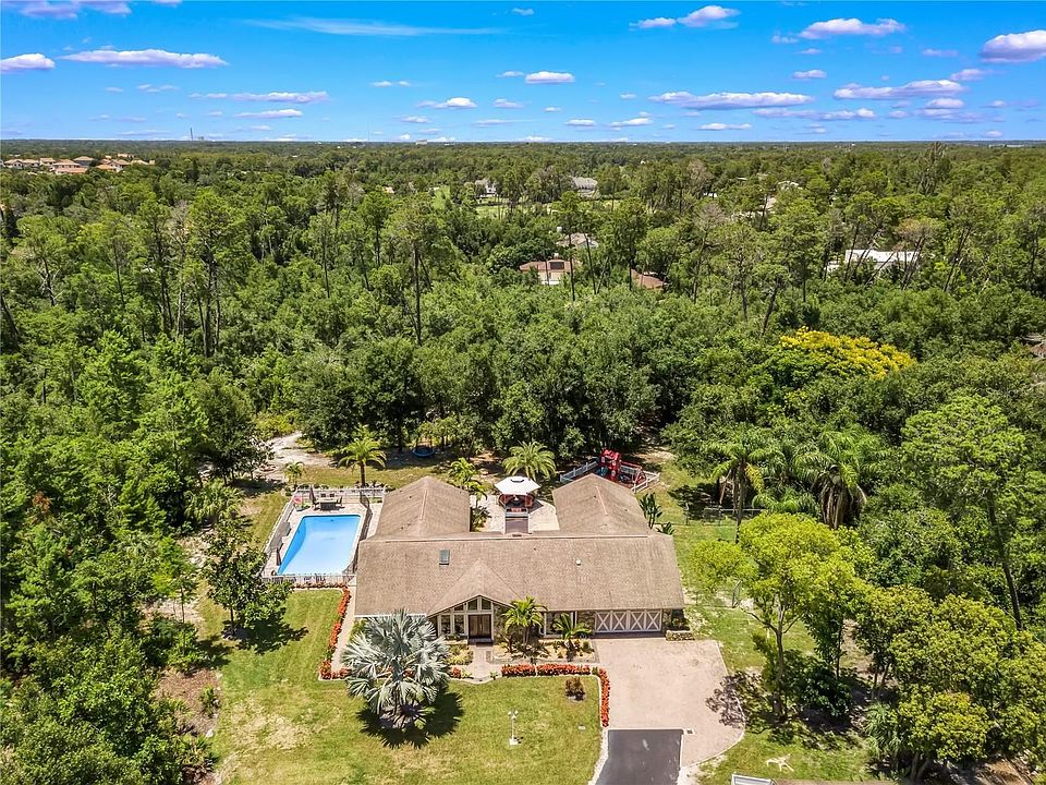 2950 Eagles Nest Dr, Palm Harbor, FL 34683 Zillow