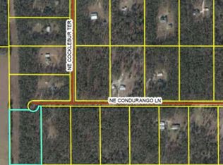 771 NE Condurango Ln, Lee, FL 32059