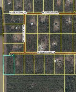 771 NE Condurango Ln, Lee, FL, 32059