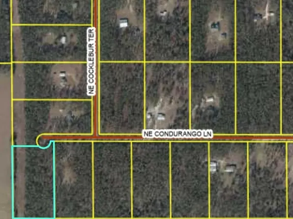 771 NE Condurango Ln, Lee, FL 32059