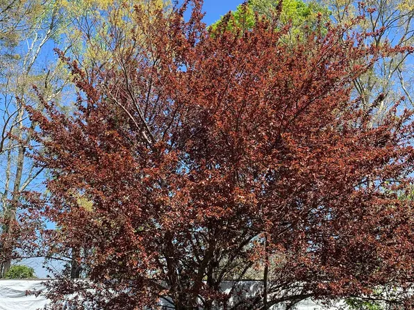 1067 Compton Rd, Brantley, AL 36009