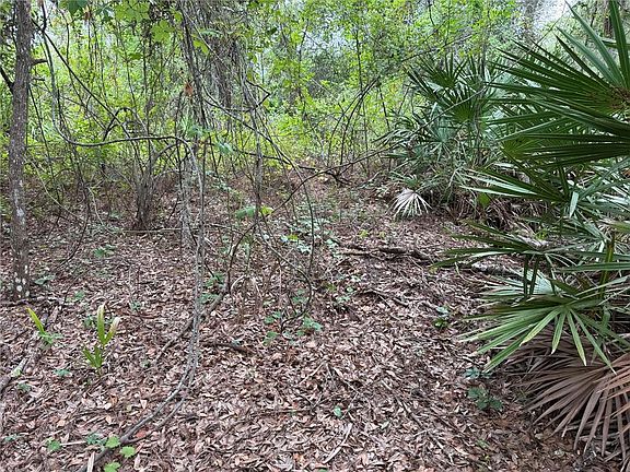 5th image of 368 NESTLE AVENUE LOT 8