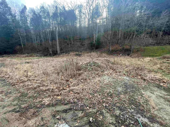 60 Frazier Ln, Olive Hill, KY 41164