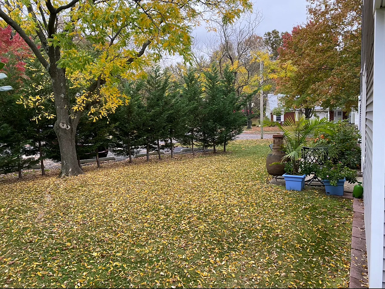 2 bed, 1296 sqft, $3,300 — Photo 4