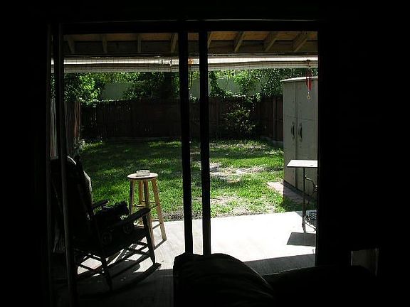 loking out back door
