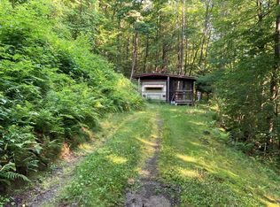 3805 Texas Hollow Rd, Burdett, NY 14818