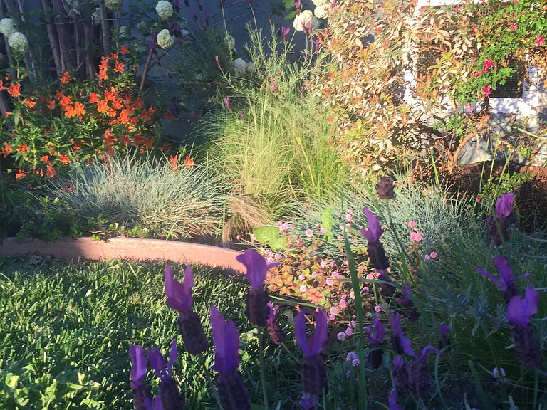 The front yard in the spring time. Lawncare is taken care of by the landlord.