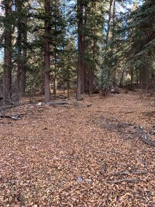 River Trl, Placerville, CO, 81430