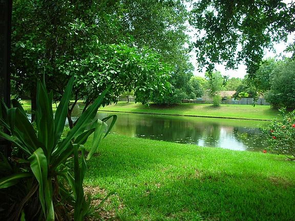 Pond