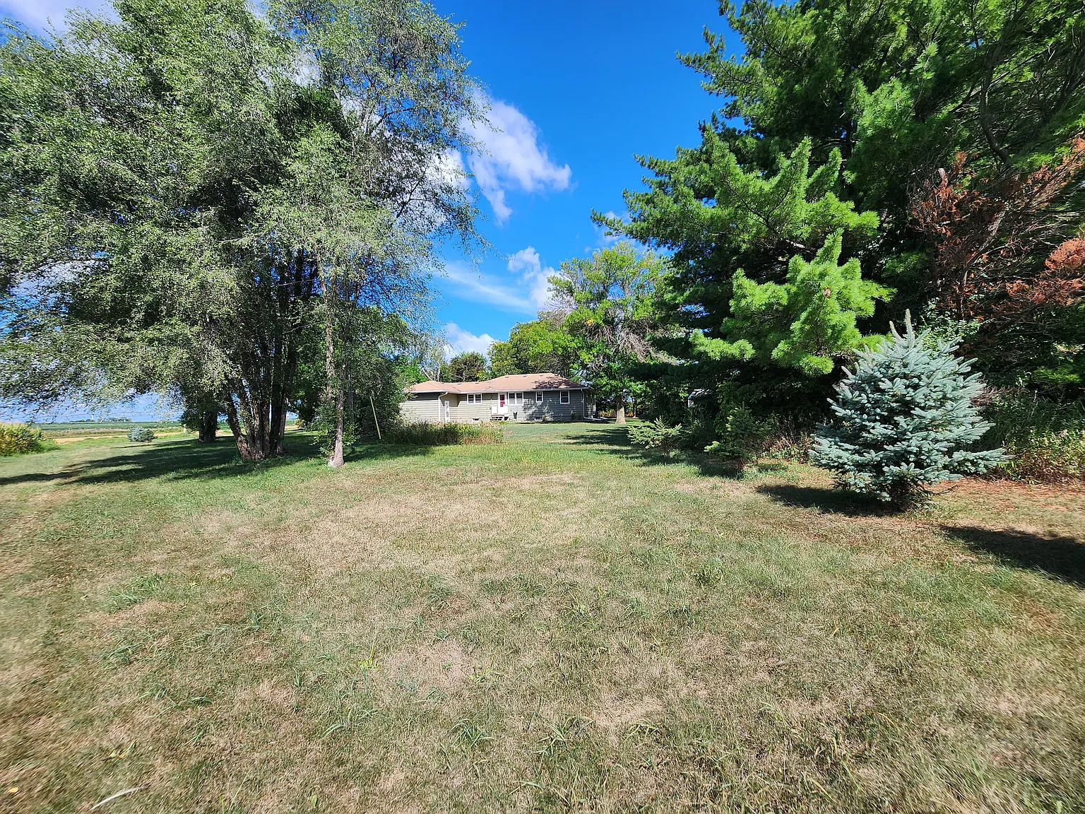 Emery Ave E, Rosemount — Photo 4