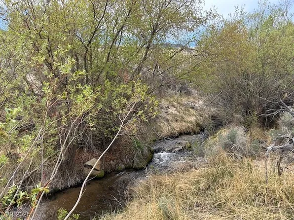 740 Chiatovich Creek Rd, Dyer, NV 89010