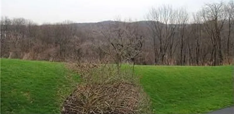 Thumbnail 18