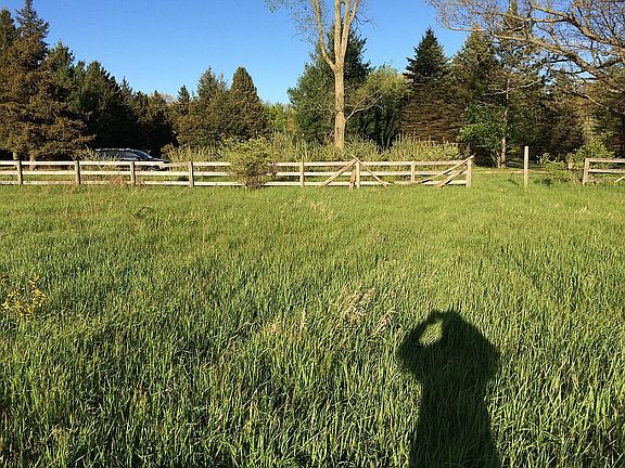 looking east to front