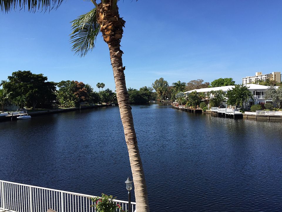 View from familyroom/master