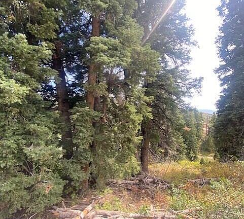 4th image of 2393 Navajo Dr