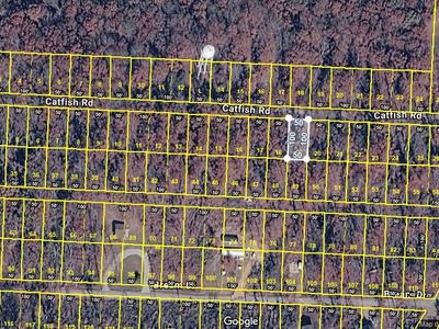 0 Catfish Rd Lot 19, Buchanan, TN, 38222