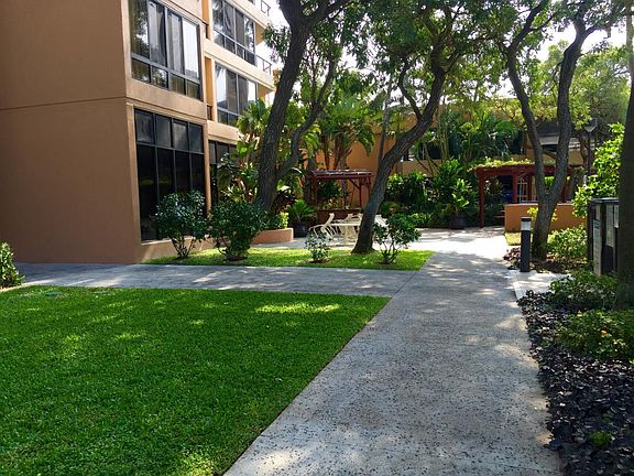 Lawn at Back Area of Building