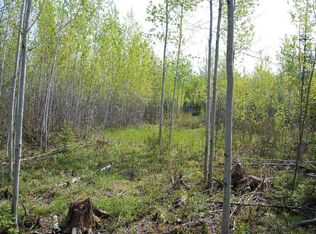 County Line Rd, Presque Isle, MI 49777