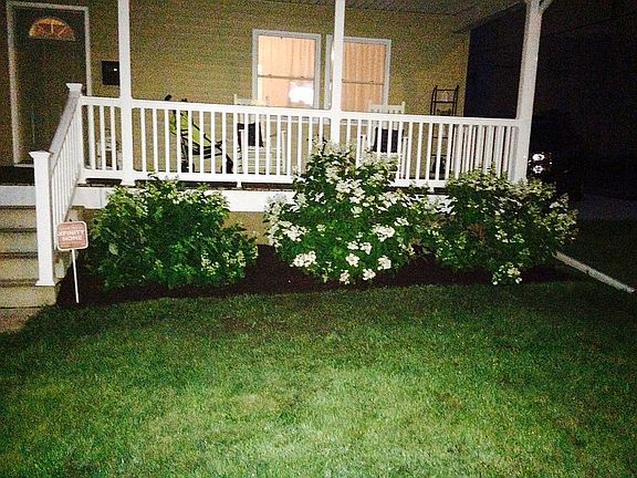  Front   Hydrangea bushes 