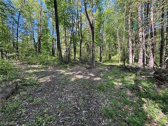 2nd image of 6060 Dalton Fox Lake Rd