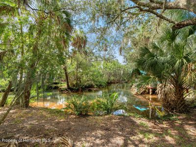 0 Avenue Of The Palms, Spring Hill, FL, 34607